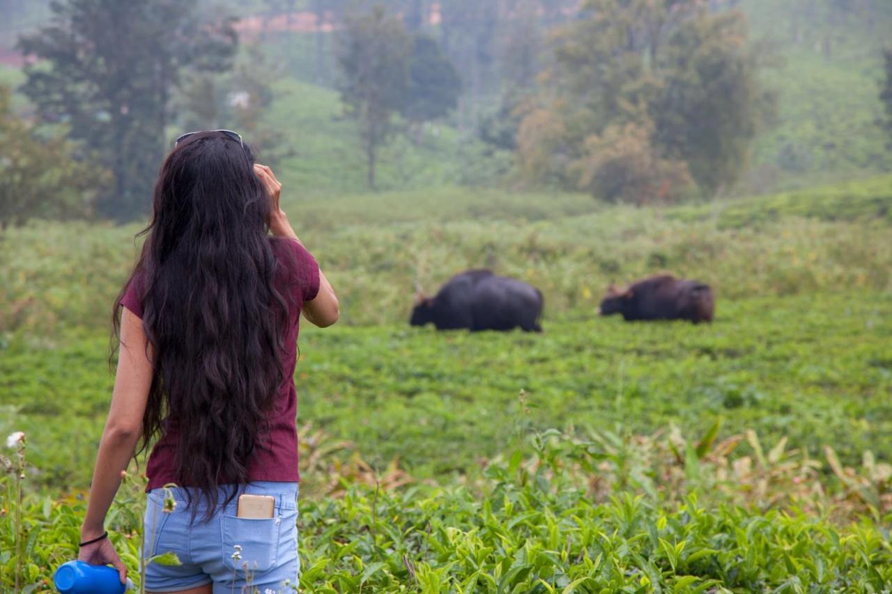 The Realm Hotel Coonoor Kültér fotó